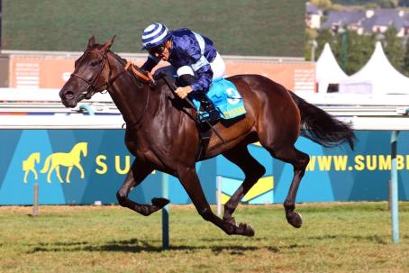 健身心鍛鍊上位