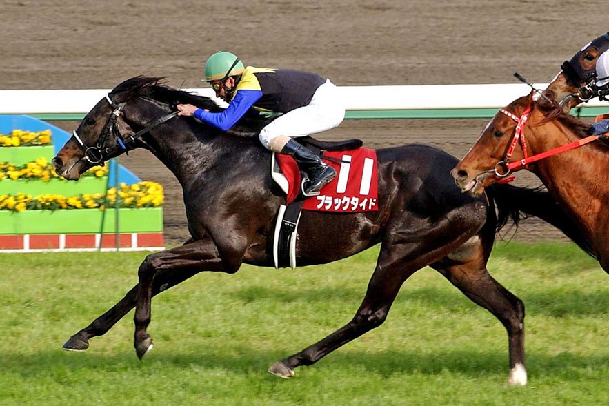 歷史名駒系列R，名不經傳種馬，造就極出色的孩子