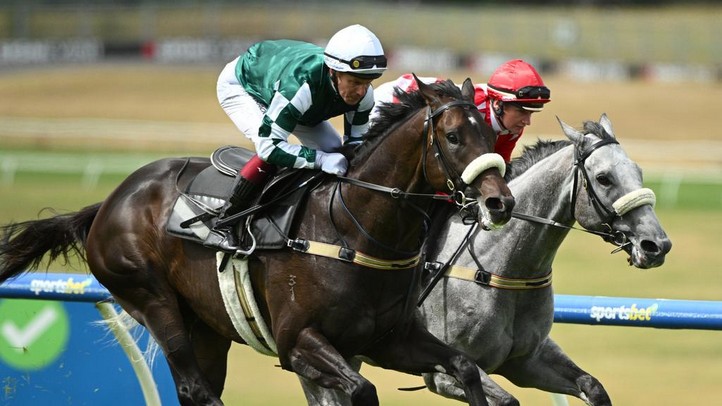 天鳥飛以及Angel Capital搶爬珠峰