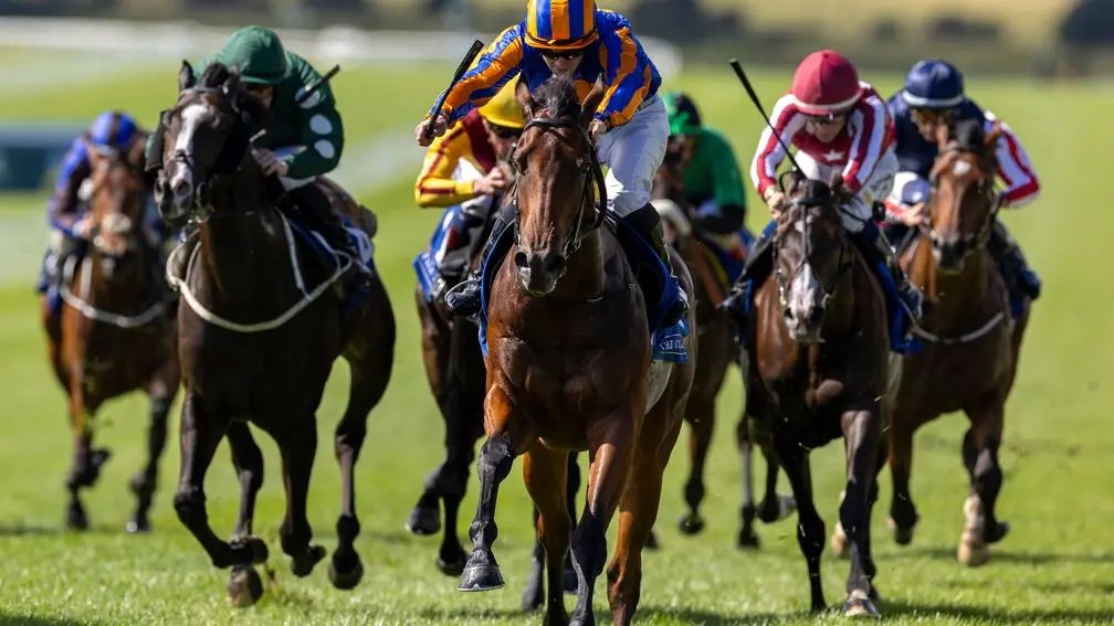 每日賽馬晚報（2025年9月1日），🇦🇺珍蓮驕驥九月尾復出，🇮🇪羅敦臨危授命替Mission Central建功