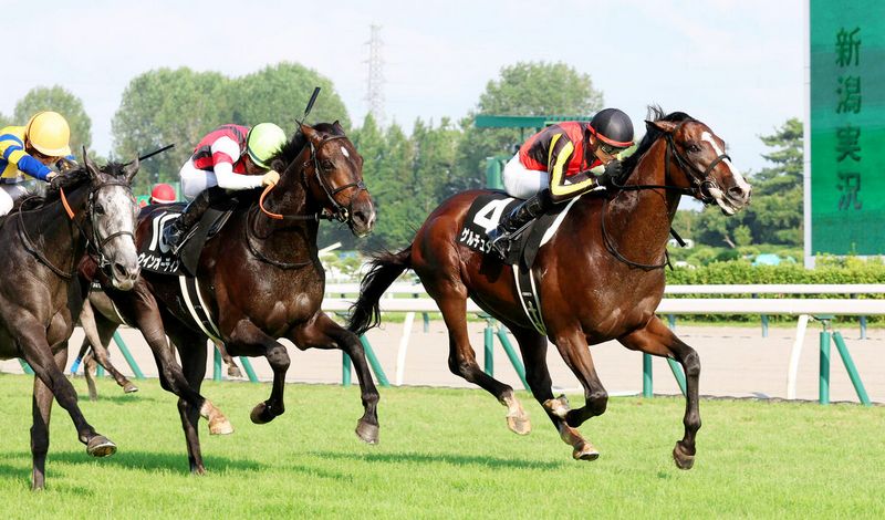 鐵路橋從日本海出發到京都