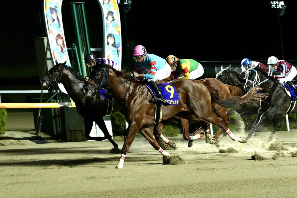 每日賽馬晚報（2025年9月5日），🇭🇰🇬🇧潘大衛原打算最後一次向馬會遞紙，🇫🇷凱旋門預賽大激戰