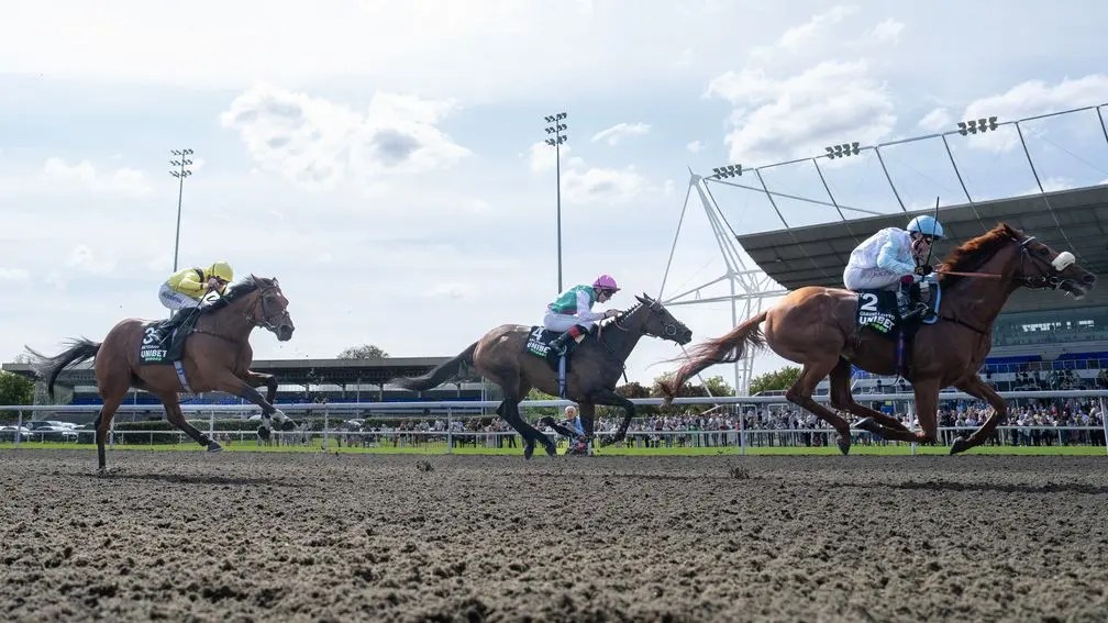 九月錦標，幻夢逸想敗陣，凱旋門大賽有懸念