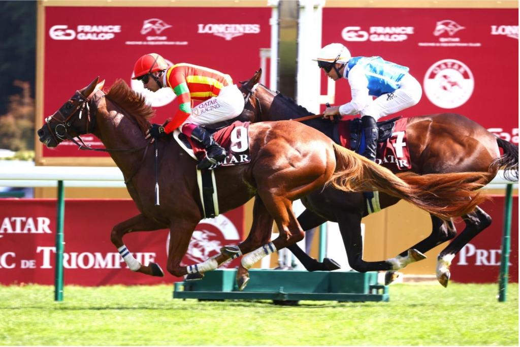 每日賽馬晚報（2025年12月2日），🇯🇵帝國夢等三駒決戰有馬，🇬🇧格倫島半姊被玉龍購入