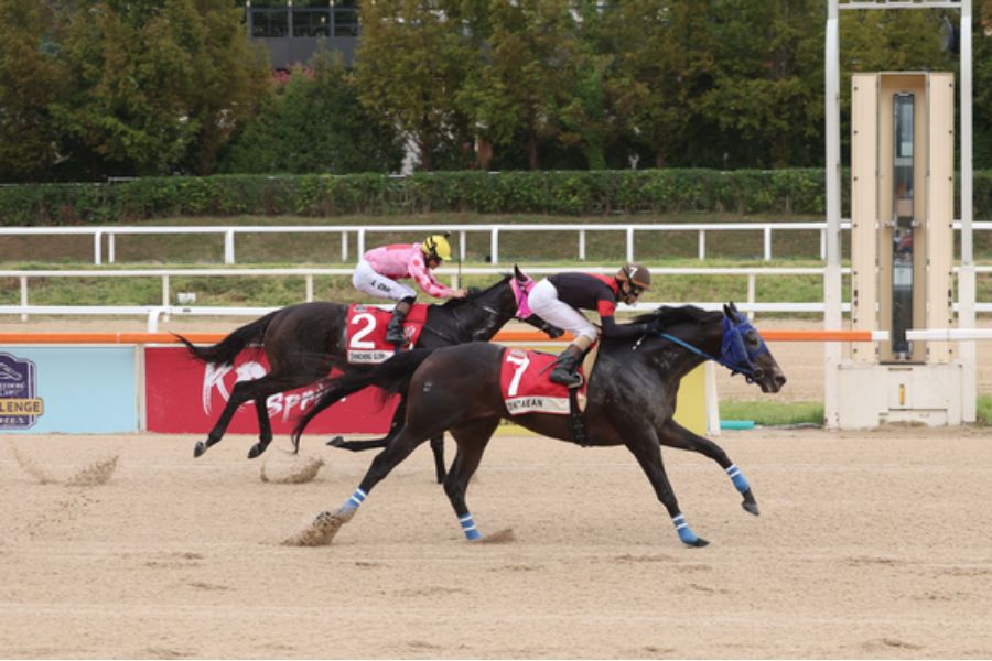 韓國盃，禪勝輝煌只差一步奪標，被日本地方馬宙斯山洞擒下