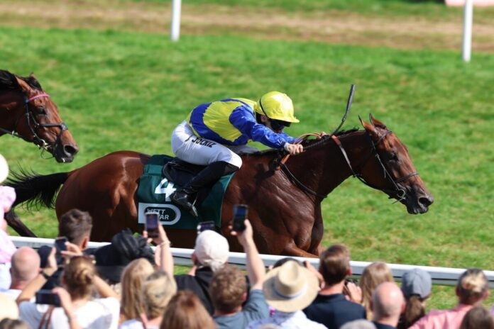 歌利巨人進軍日本盃及有馬紀念賽