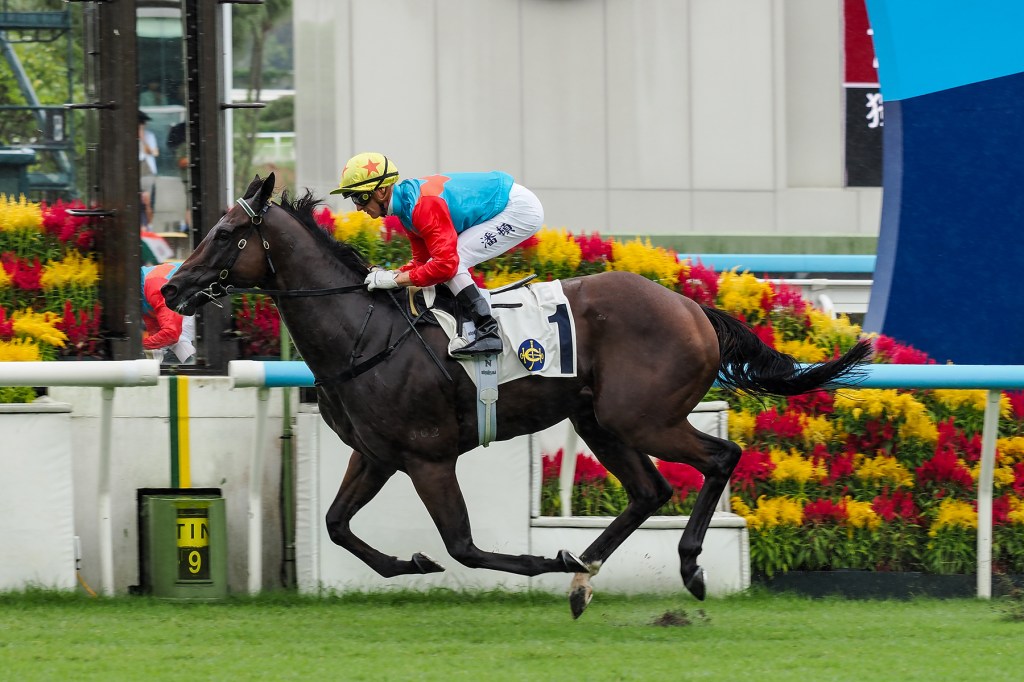 香港特區行政長官盃,嘉應高昇是時候讓澳洲見識實力