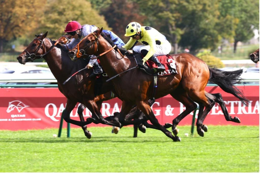 隆尚磨坊大賽,輕易事伏兵突襲