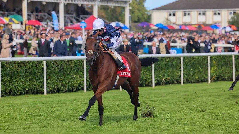 猛威俠重拾威猛