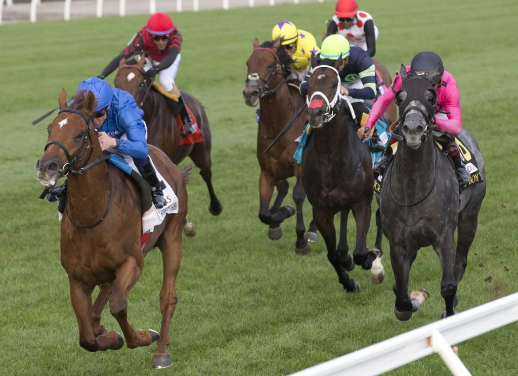 每日賽馬晚報(2025年9月14日),🇨🇦名演說活拜輕易取勝,🇯🇵Kamunyak秋華賞前哨戰開綠燈