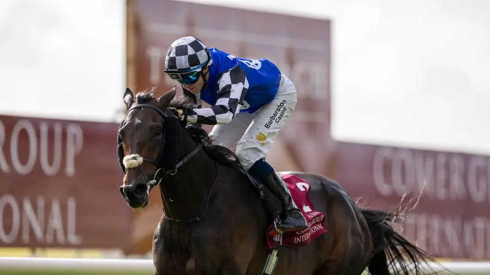 香港瓶陣容是否如郗國思所說真的很強嗎？