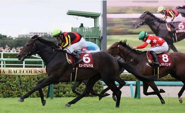 聖列特紀念賽，博物街取下勝利，但另有目標