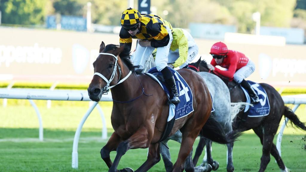 2025年11月8日澳洲冠軍錦標賽馬日（S1）及拜仁大賽日（S2）精選