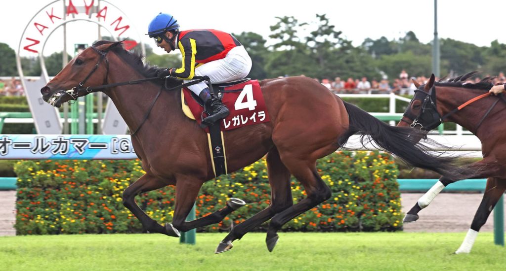 女皇再現，女皇伊利沙伯二世盃前瞻（排位已更新）