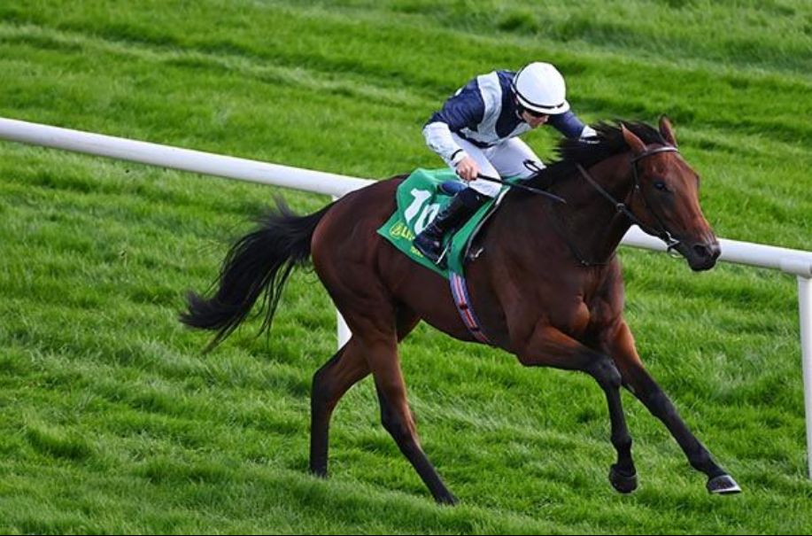 每日賽馬晚報（2025年9月24日），🇺🇸盧品善被HISA罰六個月停賽，🇬🇧🇦🇺路德探長因傷不南下