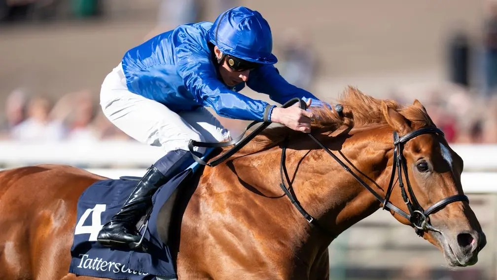 每日賽馬晚報（2025年9月26日），🇫🇷🇯🇵貝知仁即將客串日本，🇺🇸盧品善停賽禁制令被駁回