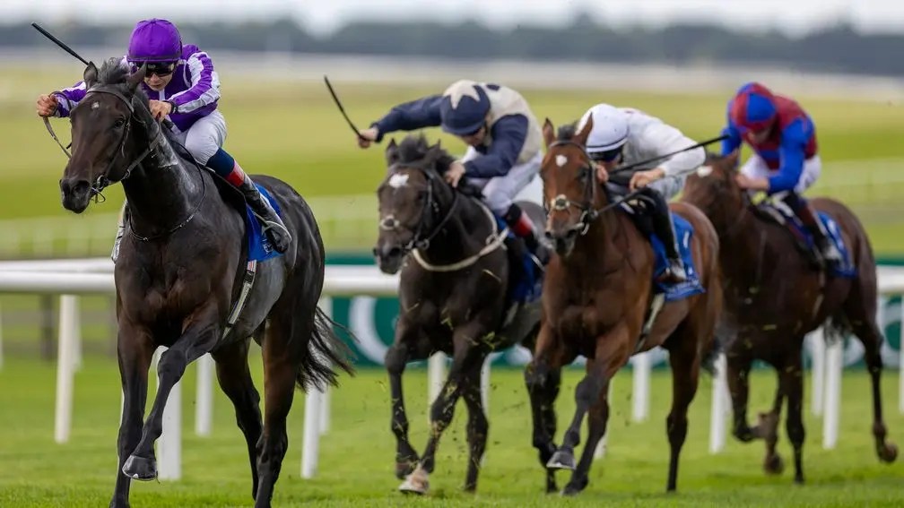 每日賽馬晚報（2025年9月29日），🇭🇰🇫🇷遠飛標槍召艾兆禮去法國，🇺🇸約翰領先及金火鳳育馬者盃等待歐洲馬