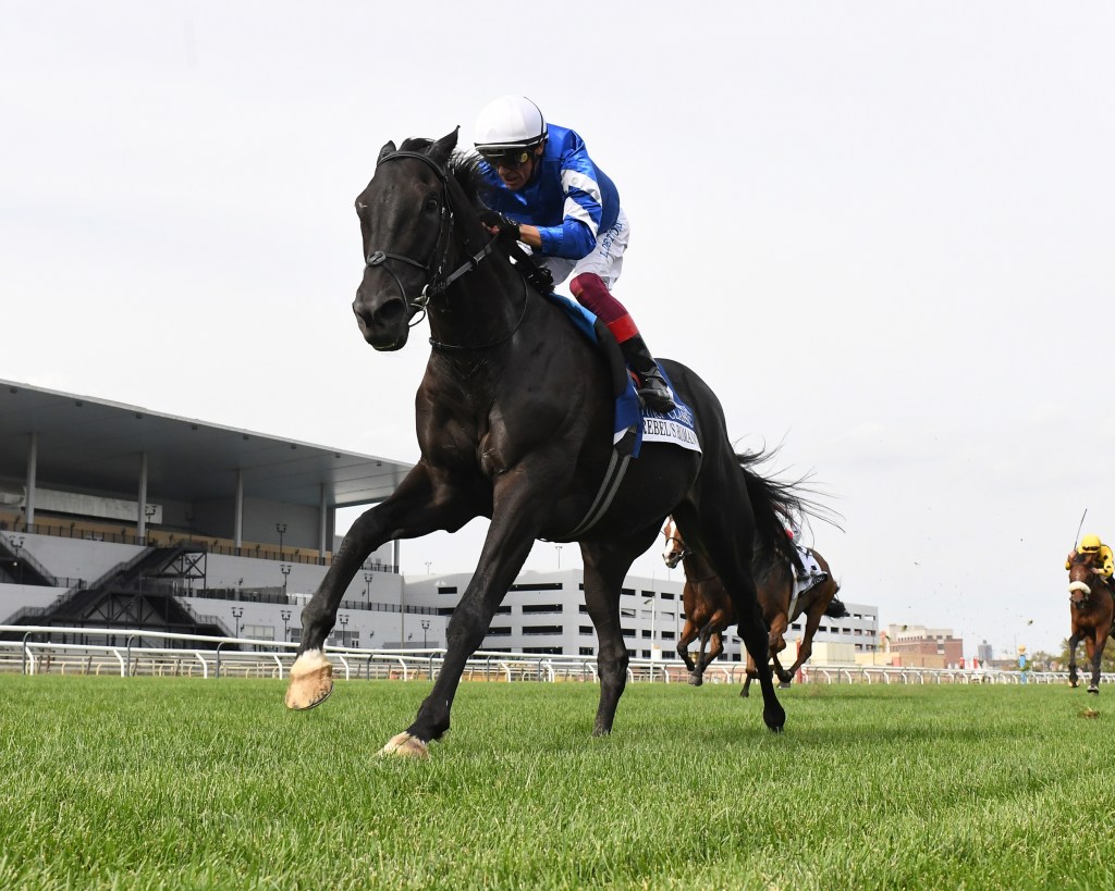祖夏殊草地經典錦標，桀驁之戀贏出第20場比賽