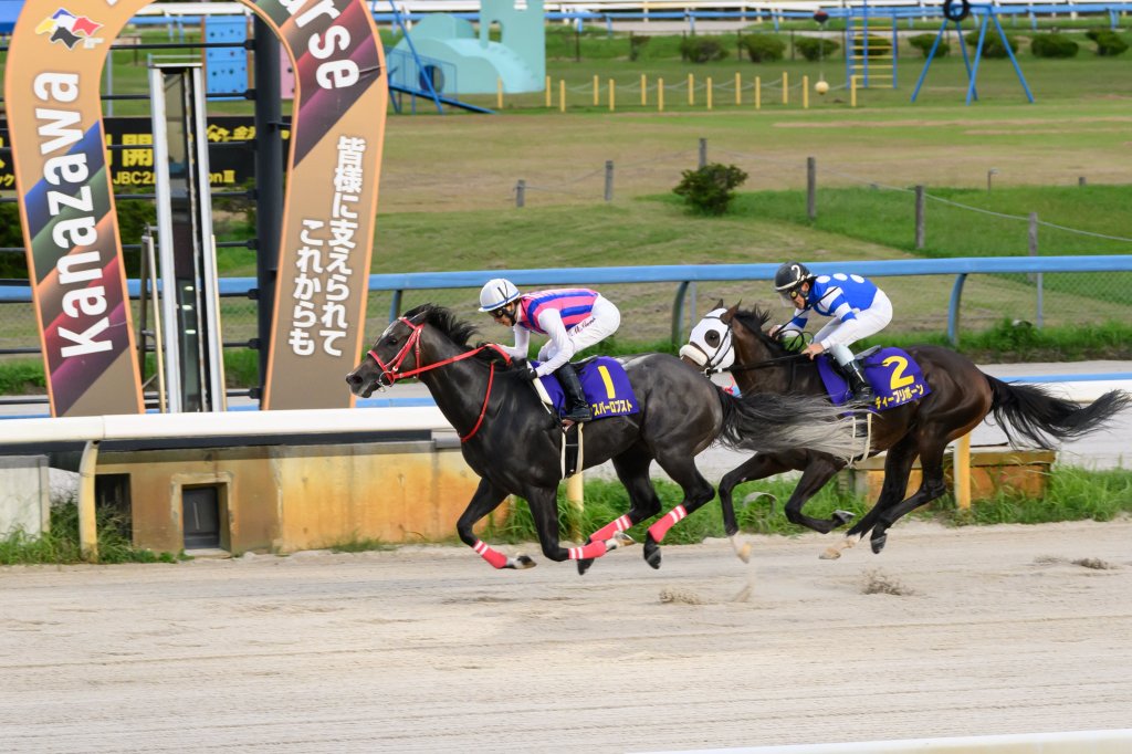 每日賽馬晚報（2025年10月1日），🇫🇷劇唱一姐加入18駒留位凱旋門，🇯🇵Jasper Robusto強行軍照贏白山大賞典