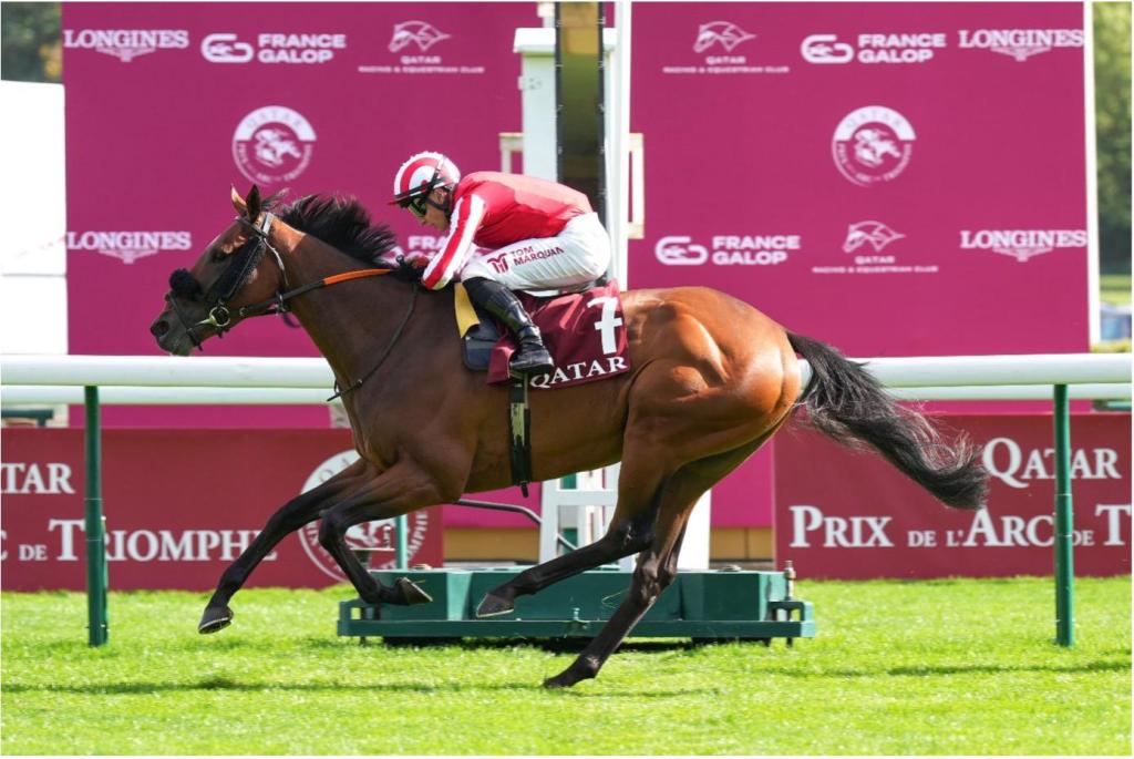 嘉登大賽，海寶馬補上贏馬