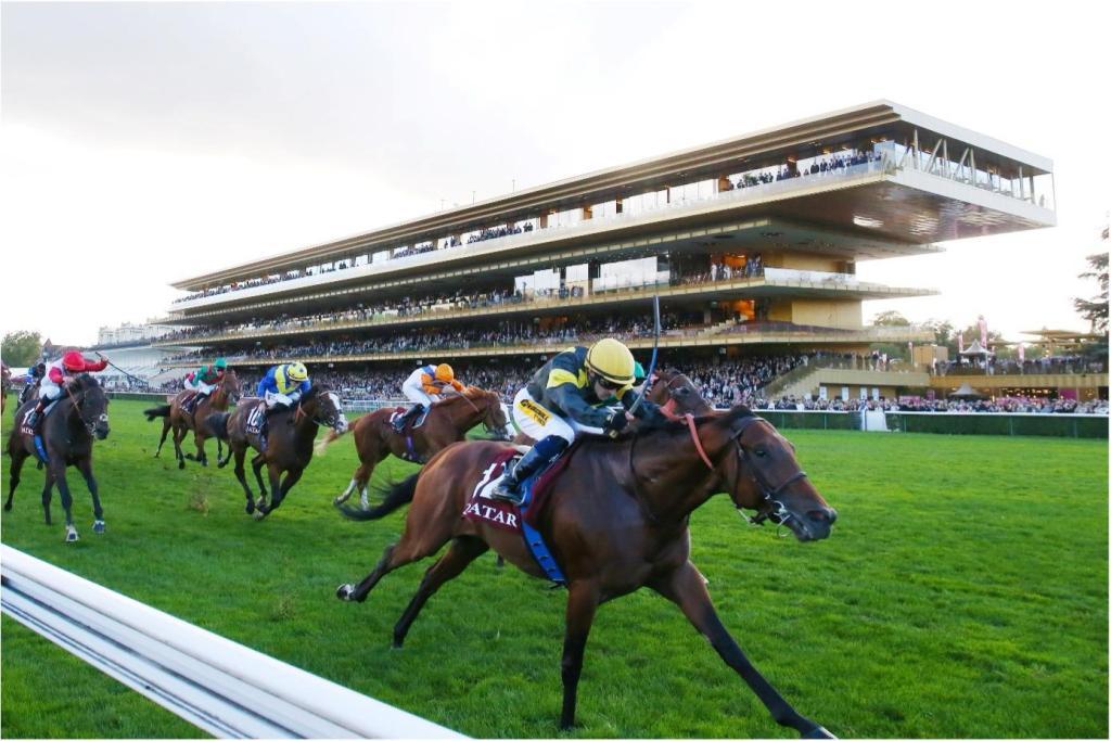 森林大賽,原族卓立確立路線