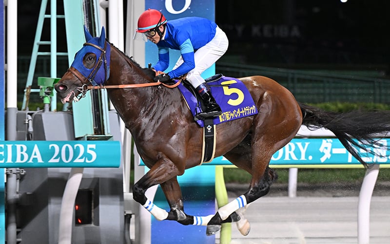 每日賽馬晚報（2025年12月3日），🇯🇵戶崎圭太可復出策騎Narukami，🇮🇪🇰🇷神鷹展翅於韓國永別