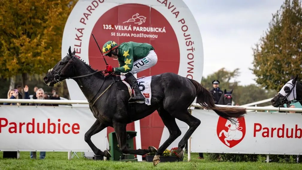 每日賽馬晚報(2025年10月13日),🇯🇵The Royal Family特集稅理士意外打開賽馬新世界,🇦🇺🇭🇰嘉應高昇造謠真相