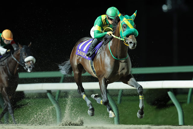 每日賽馬晚報（2025年10月14日），🇯🇵盈寶威神復活贏南部盃，🇦🇺嘉應高昇珠峰排7檔