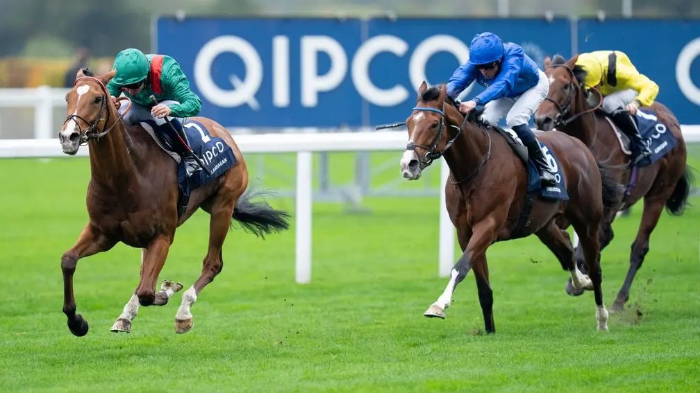 格倫島準備日本盃