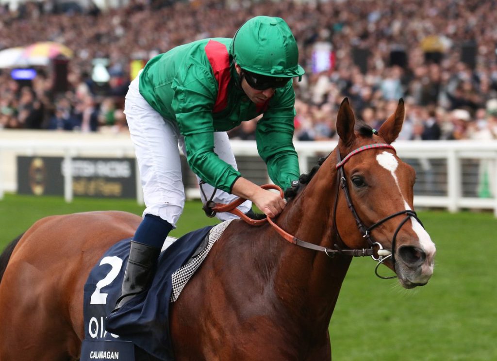 日本盃公佈外隊馬參賽名單