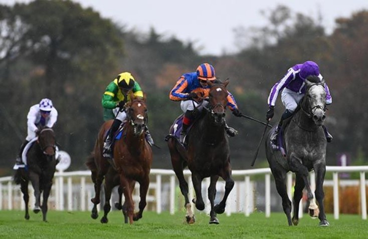 每日賽馬晚報（2025年10月20日），🇯🇵紅色夢想成最新賽馬娘， 🇮🇪祁良彥為岳伯仁火力全開