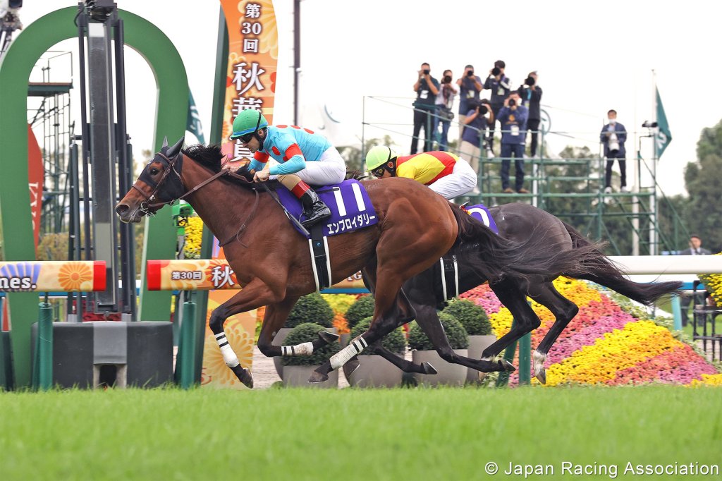 2025年12月14日賽馬日（10場田草、A跑道），香港國際賽事全攻略特集