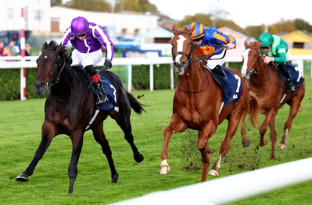 未來錦標，Hawk Mountain有望等待經典賽上位