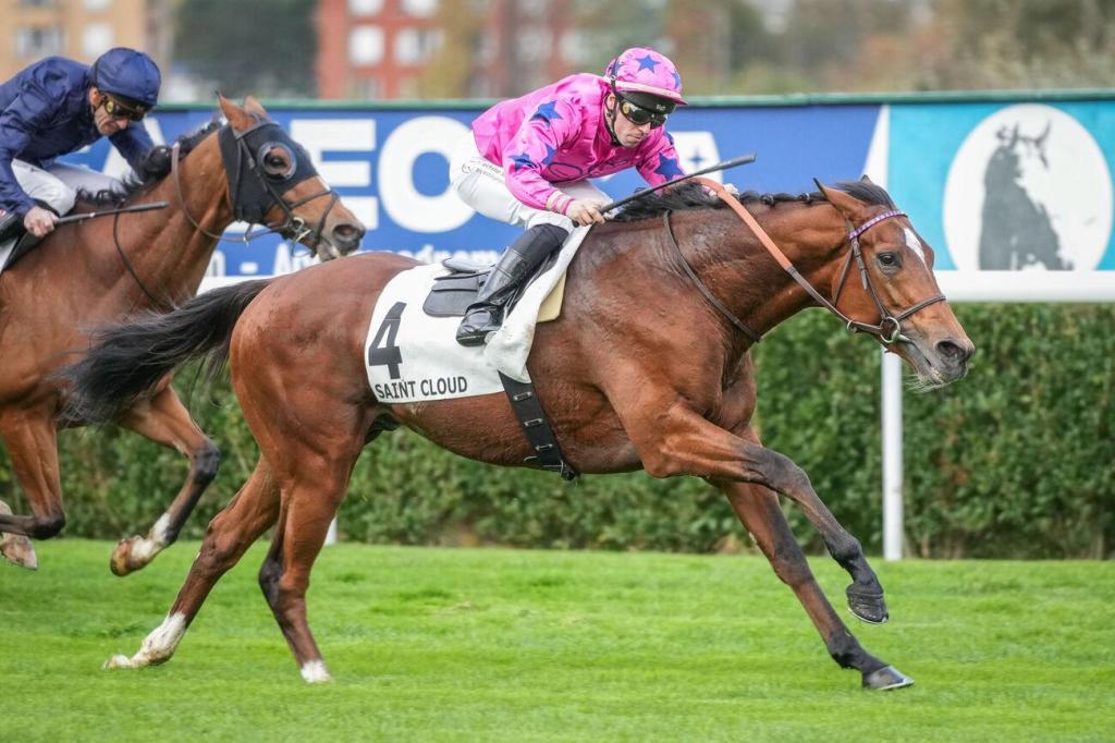 皇家橡樹大賽,鷹如箭追上一級賽進度