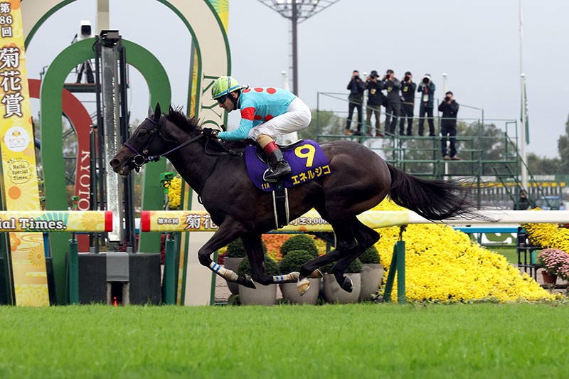 菊花賞剛勁力勁力無比