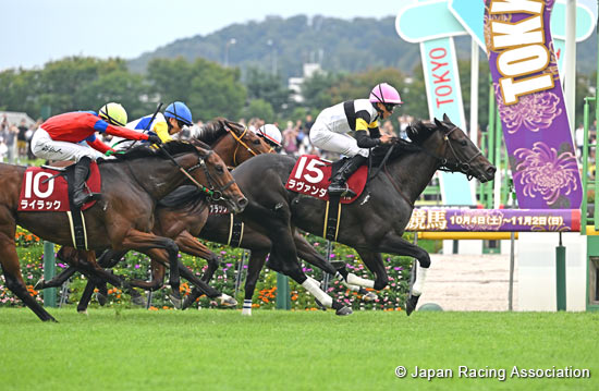 艷紫芳馨轉戰一哩冠軍賽理由