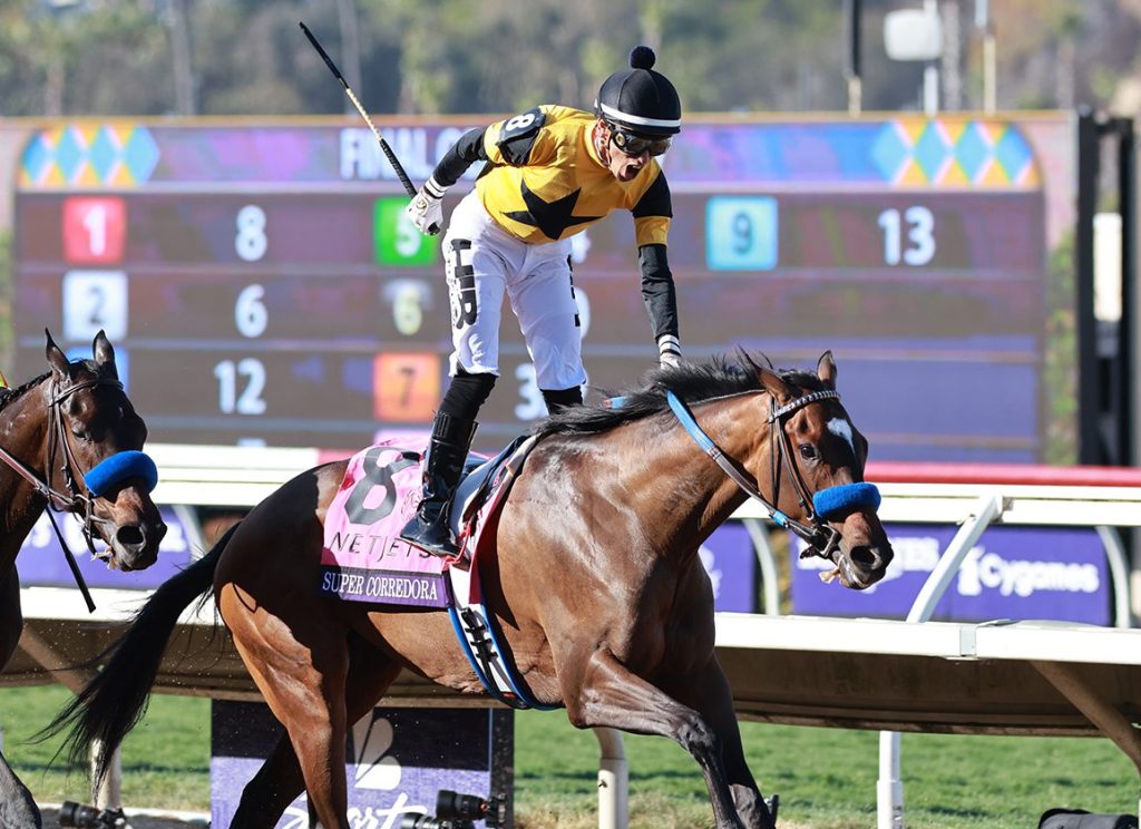 每日賽馬晚報(2025年11月1日),🇦🇺墨爾本盃當日天雨,🇺🇸育馬者盃賽事展開,Cy Fair阻歐洲馬稱霸草地