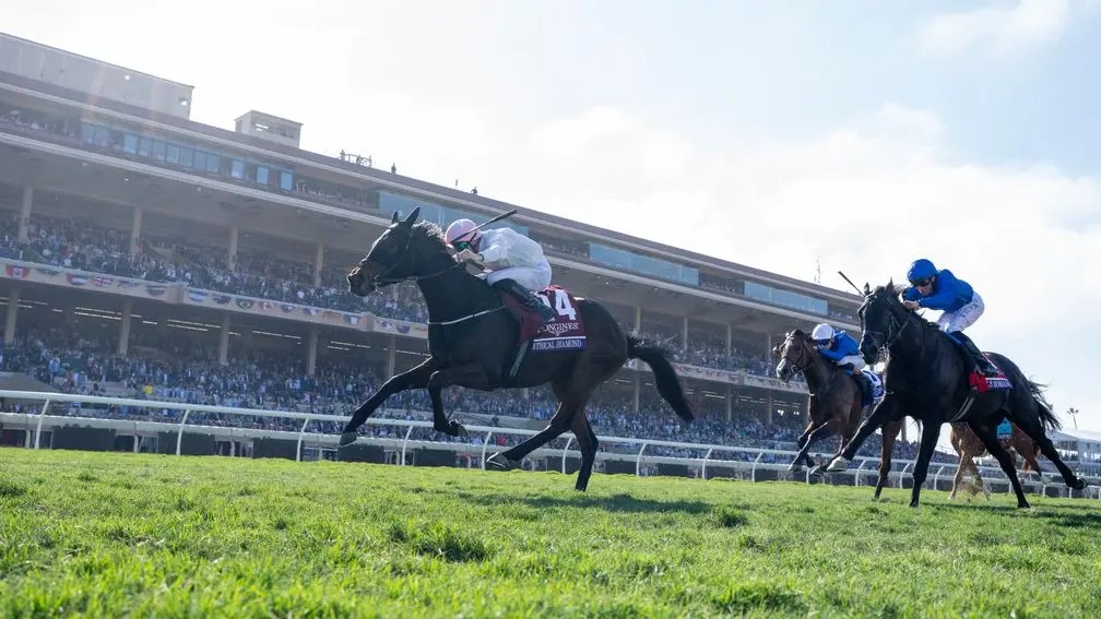 育馬者盃草地大賽，莫威利道德美鑽贏平地一級賽