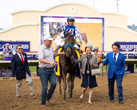 半神明來年有意挑戰沙地盃