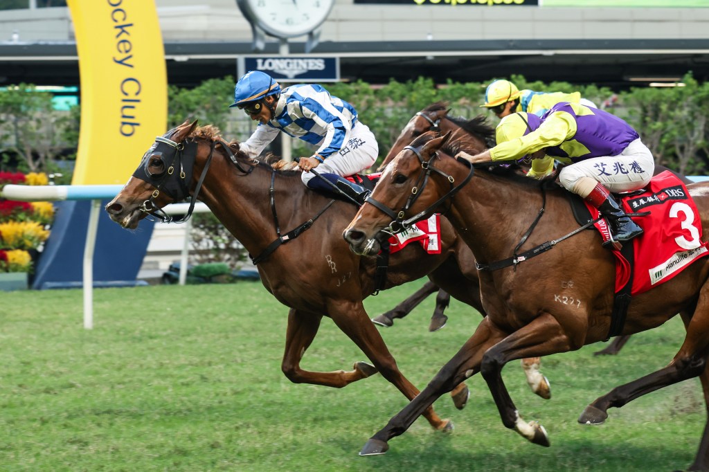 每日賽馬晚報（2025年11月3日），🇯🇵關鍵賽馬娘五週年紀念登場，🇺🇸Bentornato短途大賽成功補中