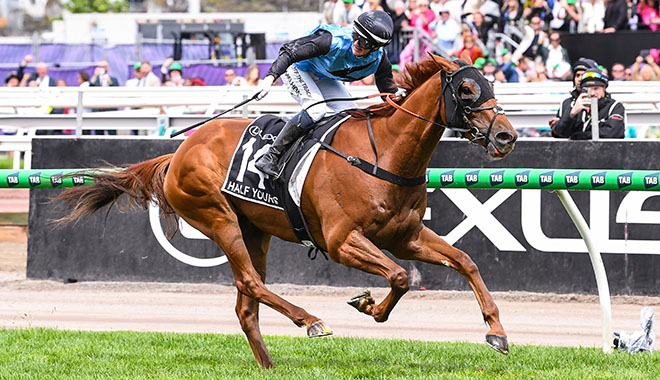 每日賽馬晚報（2025年12月17日），🇦🇺一半屬你秋季後期復出，🇯🇵🇩🇪韓新將前往日本客串