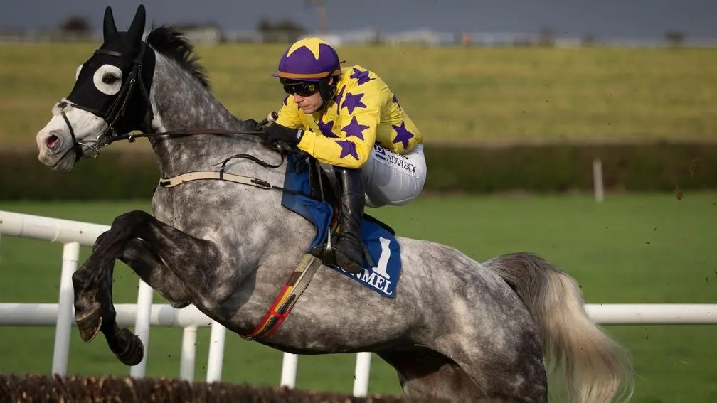 每日賽馬晚報（2025年11月7日），🇯🇵北十字星「年內一賽」的抉擇，🇬🇧🇭🇰老將樂於助人來港參戰