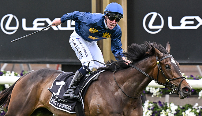 每日賽馬晚報（2025年11月6日），🇫🇷🇦🇪颶風警戒及小報恩不參加巴林國際錦標，🇨🇳🇭🇰從化馬場2026年10月31日開鑼