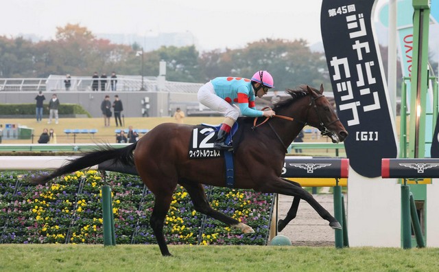 每日賽馬晚報（2025年11月9日），🇯🇵🇭🇰賽馬旅遊打日本忠心馬迷，🇯🇵李慕華阿根廷盃被「高佬」擊敗