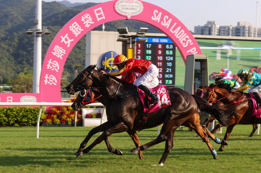 婦女銀袋賽，安遇相隔兩年再度取勝