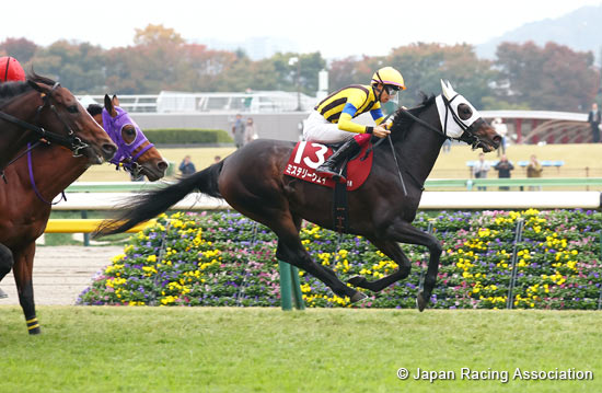 Mystery Way能否尋找通往有馬紀念賽的秘道？