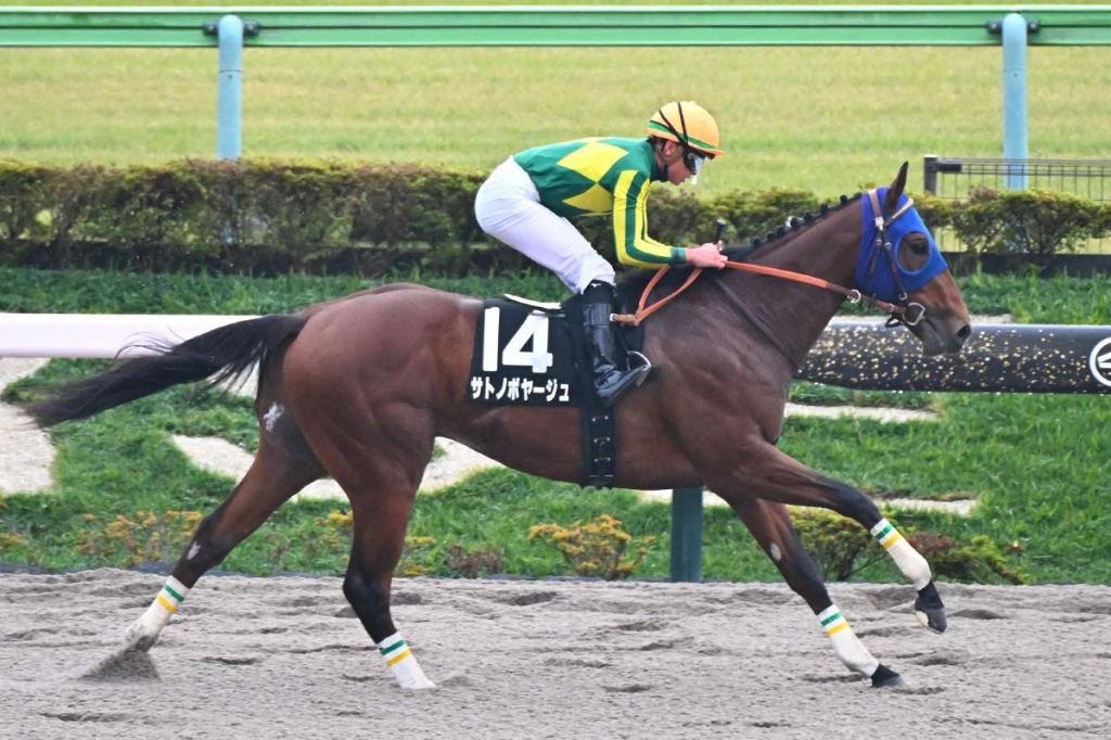 每日賽馬晚報（2025年11月10日），🇮🇪🇦🇪道德美鑽2026年杜拜等待各位，🇯🇵🇫🇷貝知仁首週取下三勝