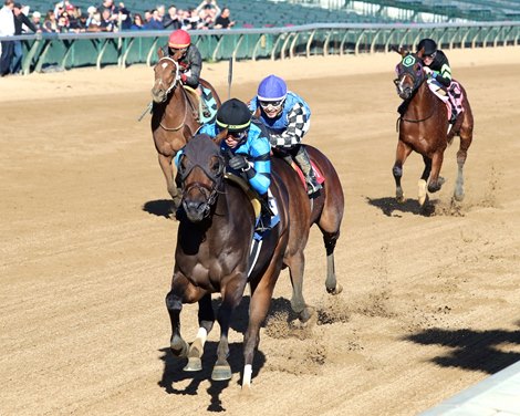 每日賽馬晚報（2025年11月14日），🇫🇷🇬🇧格倫島成世界第一，🇺🇸Resolute Racing救出邊緣馬匹取下勝出