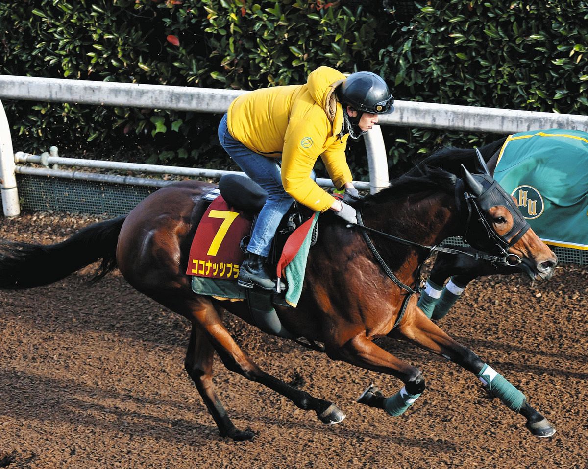 2025年11月16日女皇伊利沙伯二世盃賽馬日（S1）絕對精選– Flameracing