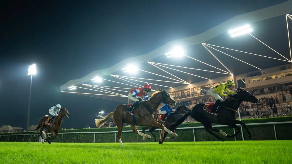 巴林國際錦標，御冠軍踏上征途